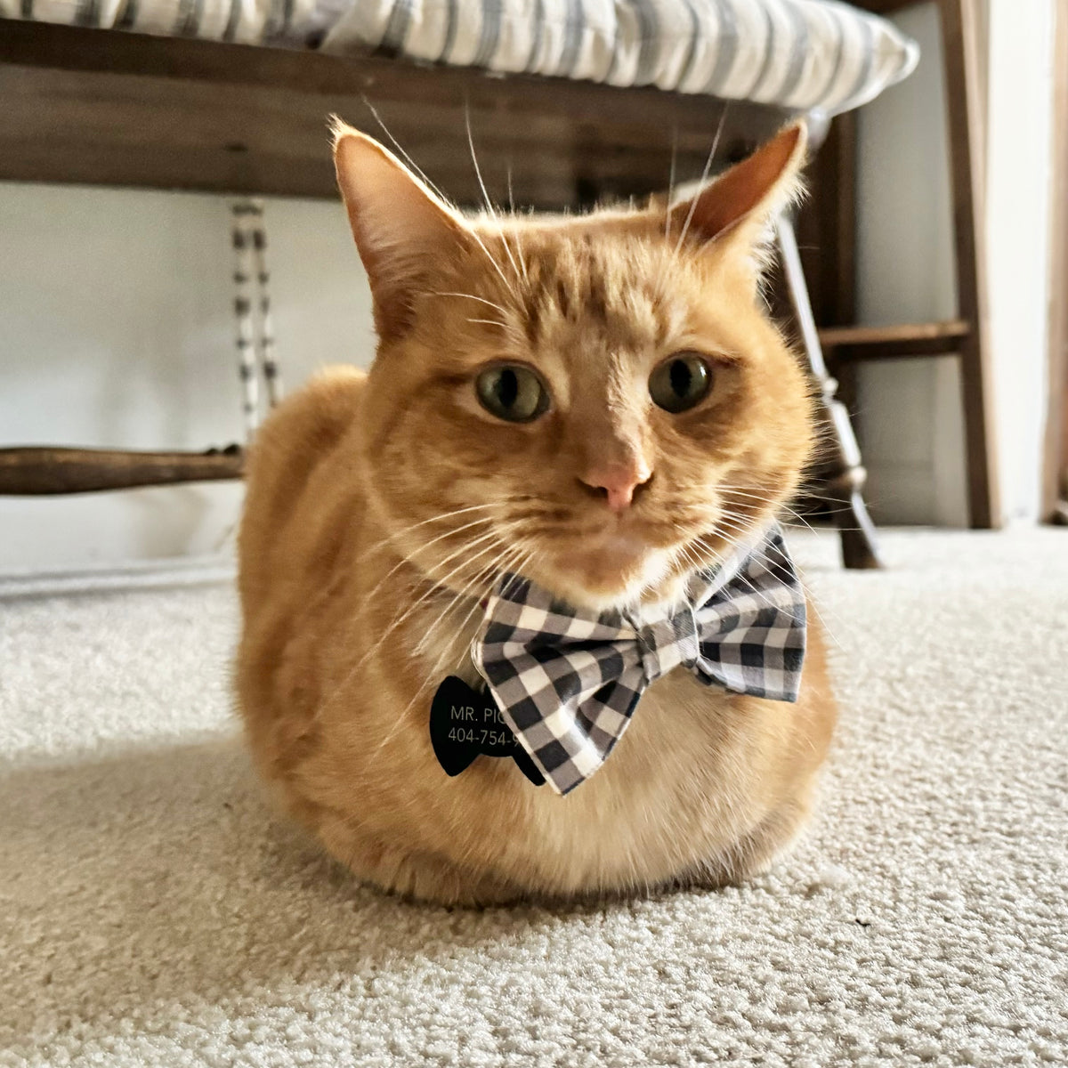 Mr. Pickles ornament, limited edition